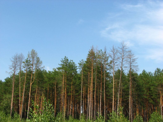 35190 (a): :1024x768